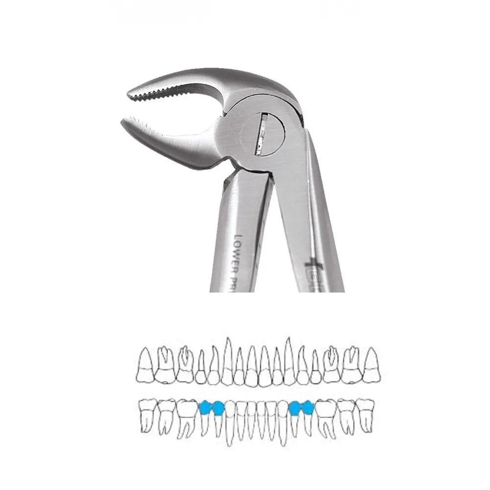 GDC Lower Premolar Extraction Forceps, 13 Standard (FX13S)