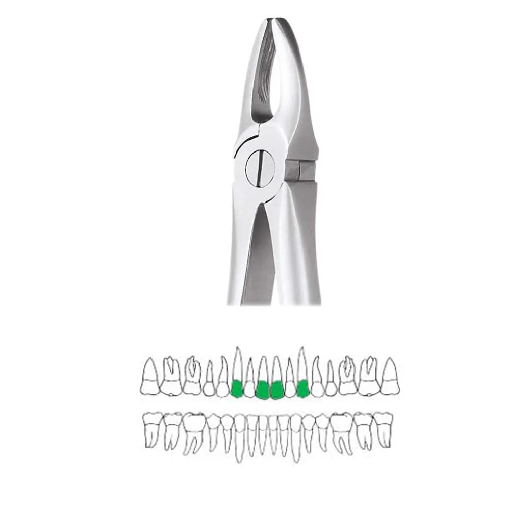 GDC Extraction Forceps Upper Anteriors 1 Standard (FX1S)