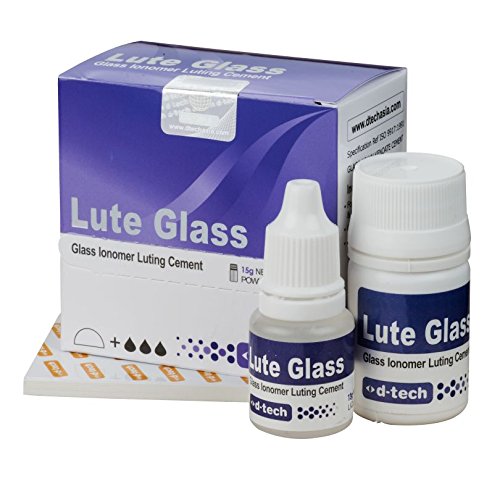 D-Tech Lute Glass GIC