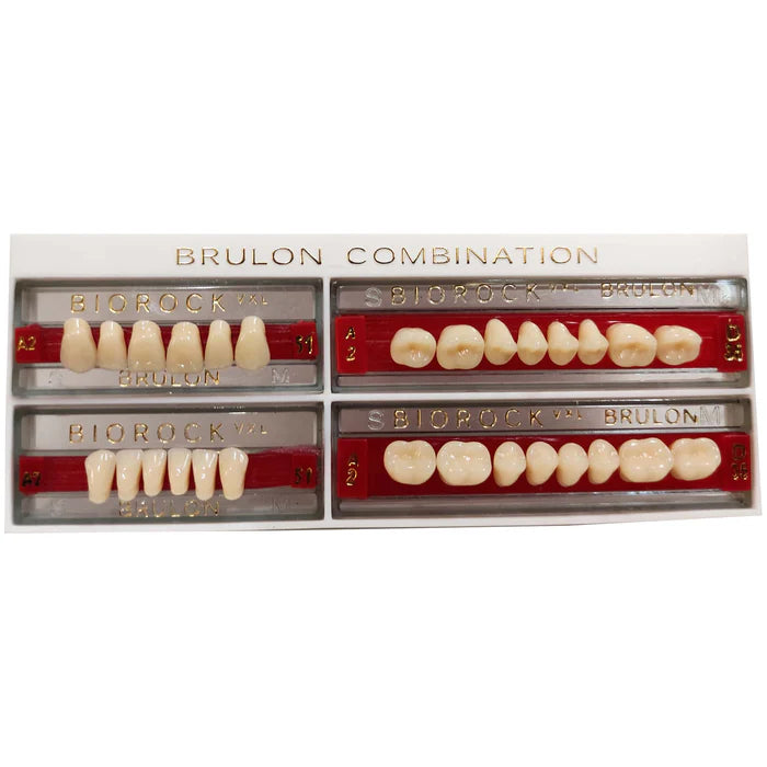 Brulon Biorock Teeth Set