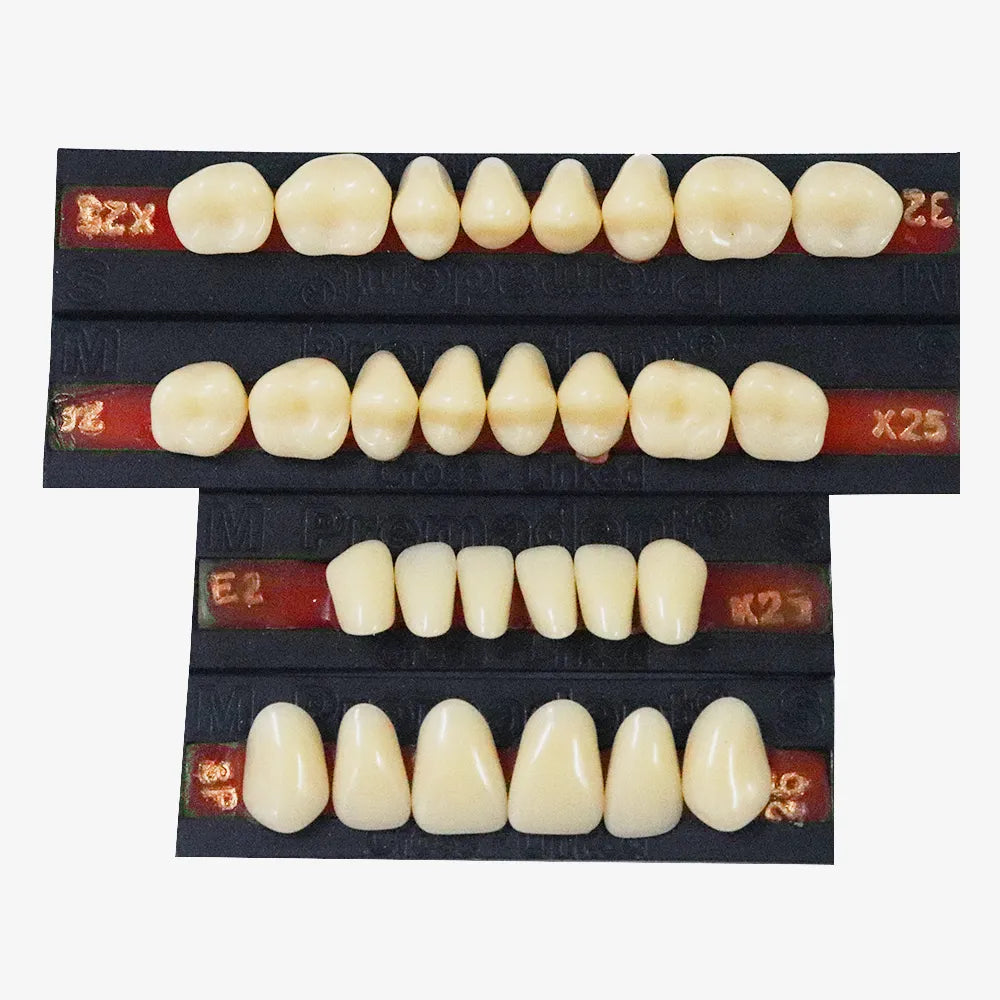 Premadent Teeth Set Cross Linked Acrylic Teeth