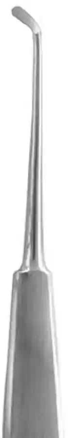 API- Warwick James Right