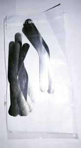 Samit Tofflemier Band