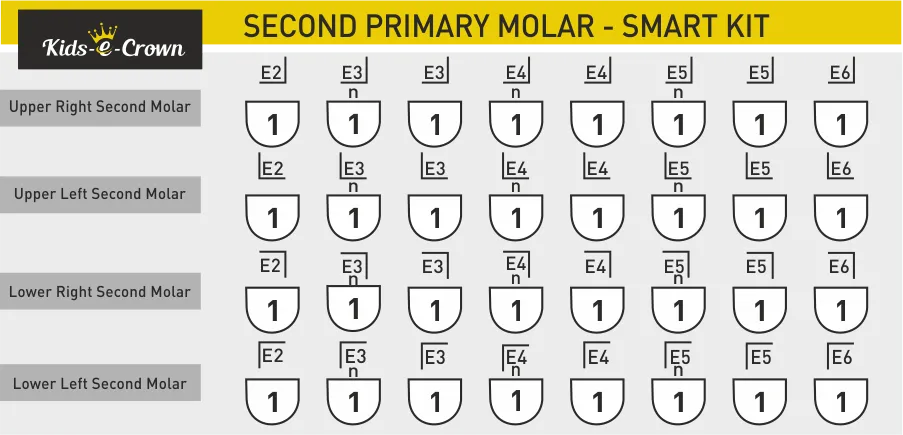 Kids-e-Crown Primary Second Molar
