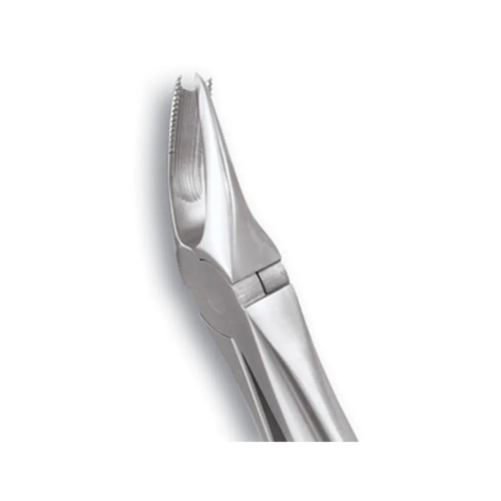 GDC  Forceps Upper Molar Right(Fx89S)