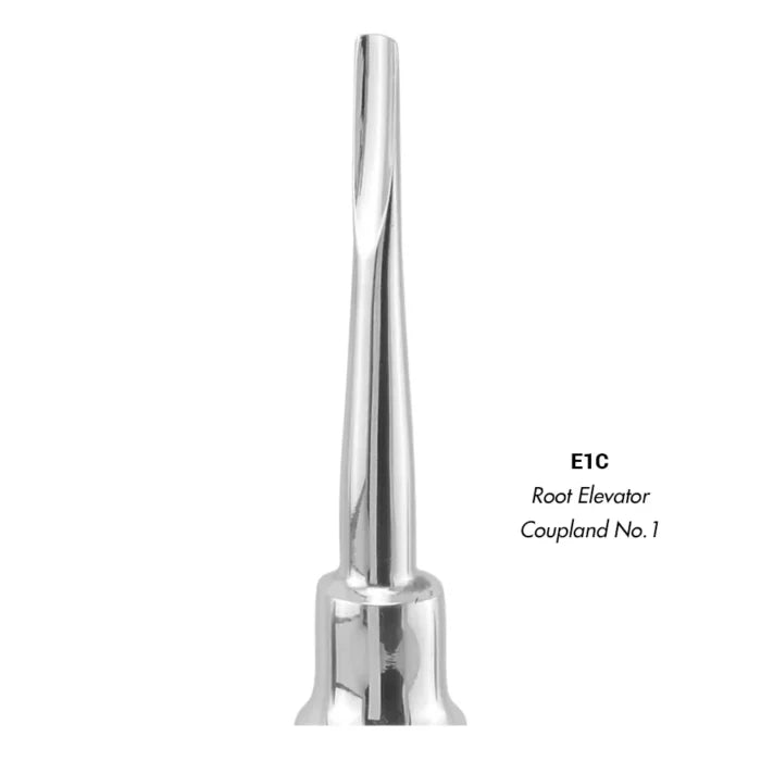 GDC Root Elevator  Coupland No.1 (E1C)