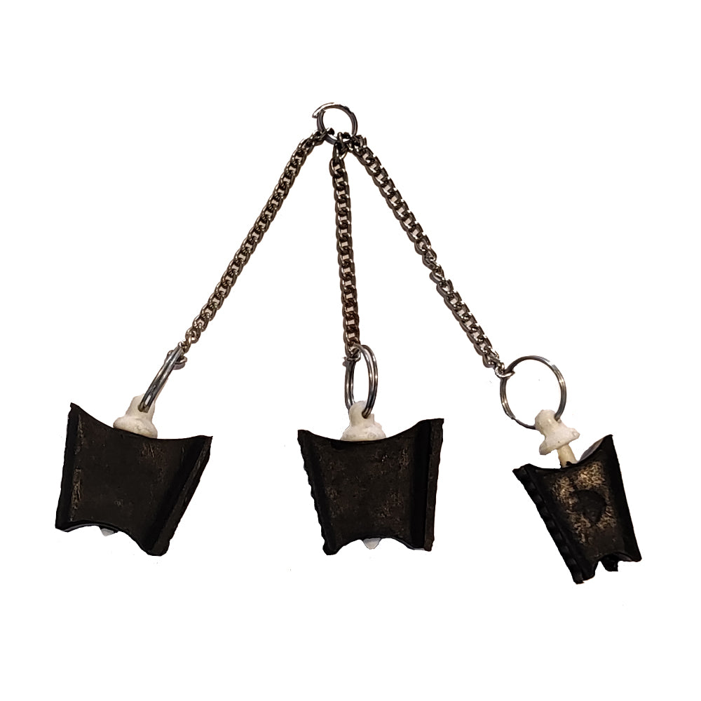 GDP-Mouth probe-Set of 3
