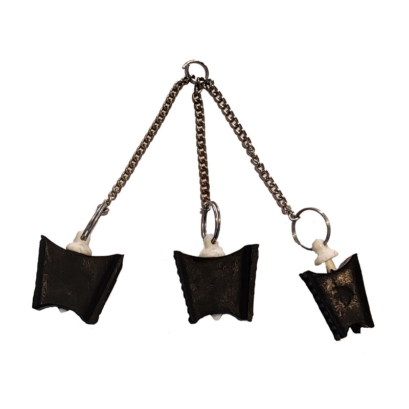 GDP-Mouth probe-Set of 3