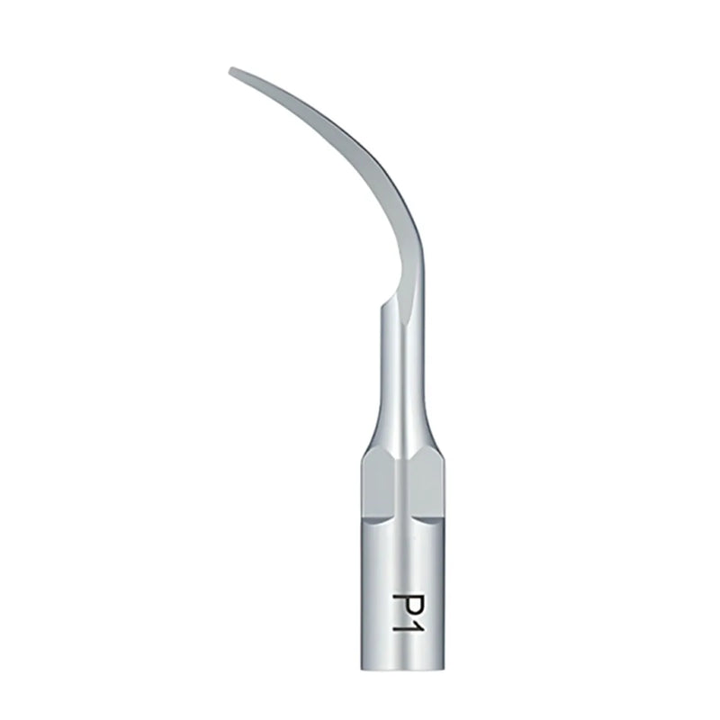 Woodpecker Scaler Tip - P1
