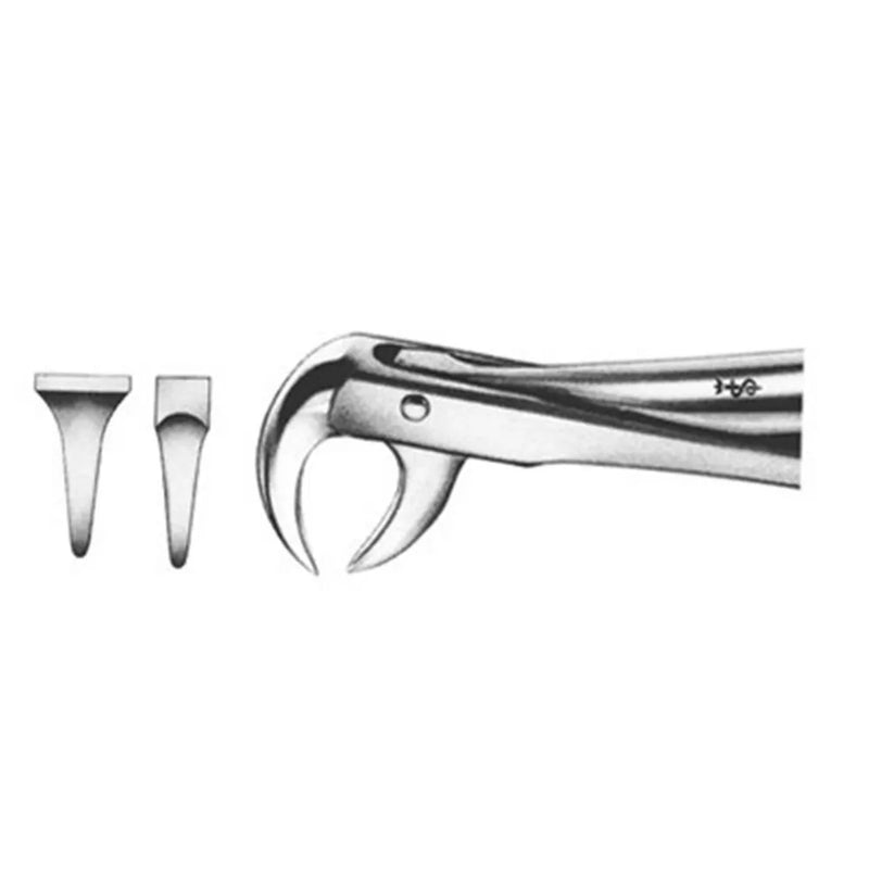 GDC Extraction Forceps Lower Molars  86 Standard (FX86S)