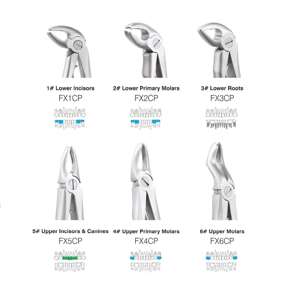 GDC Extraction Forceps  Pedo