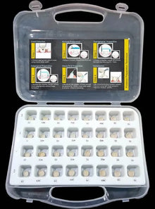 Kids-e-Crown Primary Second Molar